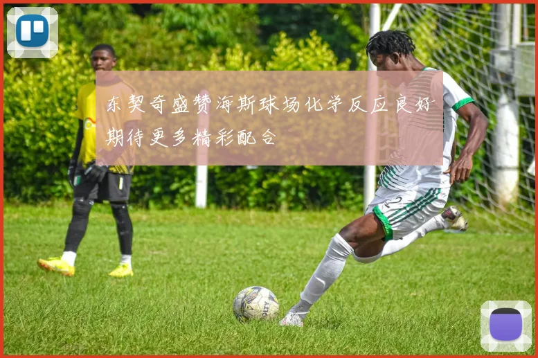 东契奇盛赞海斯球场化学反应良好期待更多精彩配合